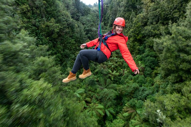Activities & Tours
